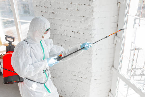 Best Commercial Mold Inspection  in Leavenworth, KS